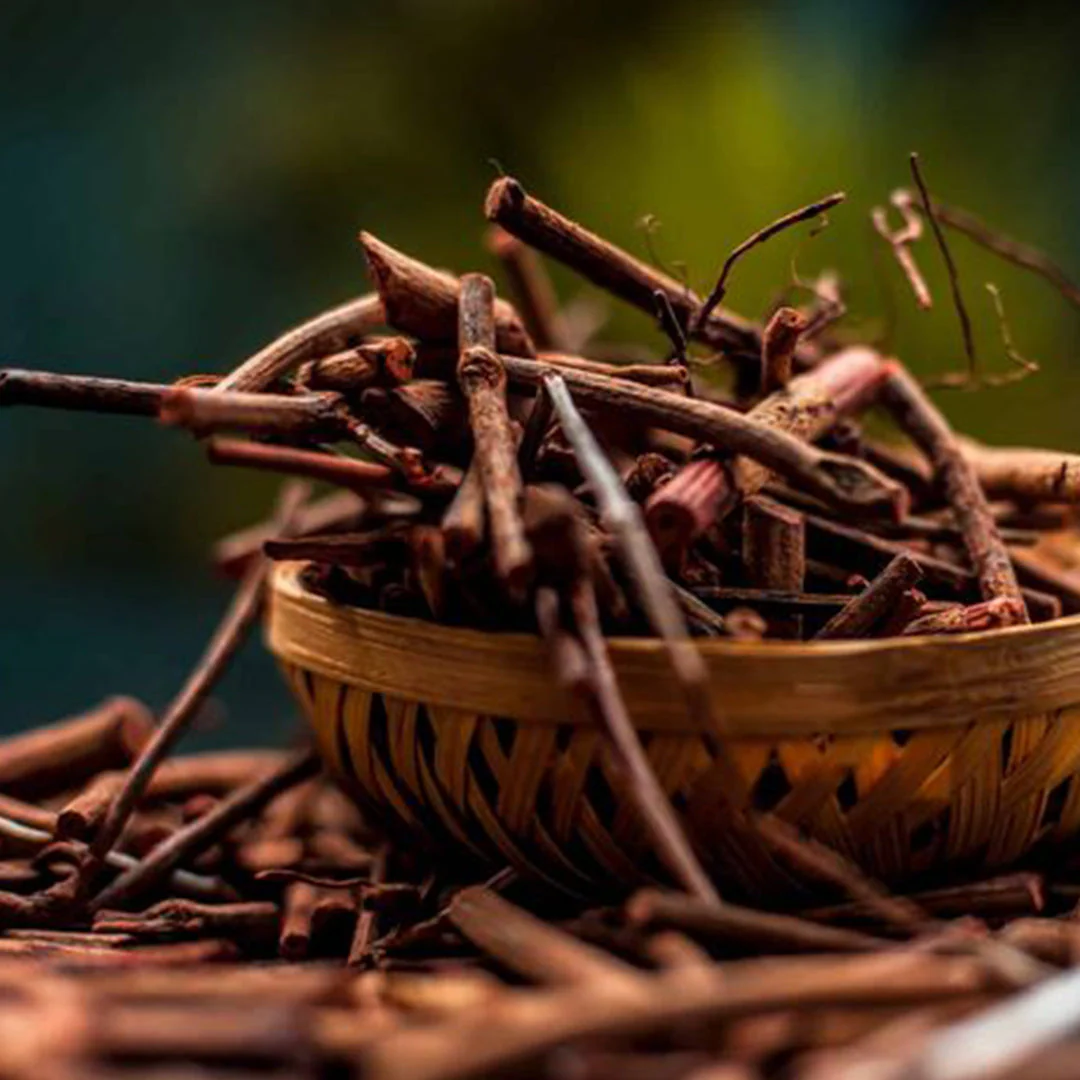 Manjistha (Rubia cordifolia) for acne-prone skin